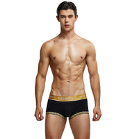 Classical Style Men's Cotton Underpants