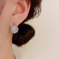 Super Shiny Small And Versatile Earrings