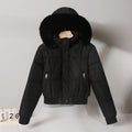 Short Cotton-padded Parka In Hong Kong And Korean Styles For Winter