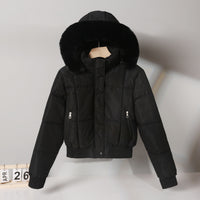 Short Cotton-padded Parka In Hong Kong And Korean Styles For Winter