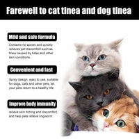 Cat Skin Spray Gentle Cleaning