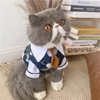 Pet Dress British Plaid Sweater Spring