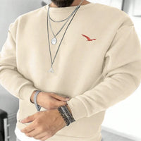 Men's Autumn Leisure Coat Cotton Terry Long-sleeved Sweater Street Solid Color Round Neck Sweater