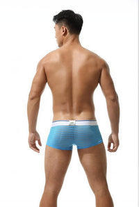 Striped Transparent Sexy Underwear Boxers