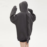 Little Dinosaur Sweater Hooded Fleece-lined Autumn New Chic Design Sense