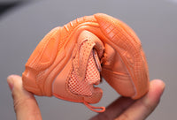 Soft Sole Lightweight Solid Sole Sneakers