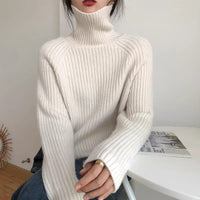Women's Solid Color Shiny Soft Glutinous Loose Turtleneck Sweater