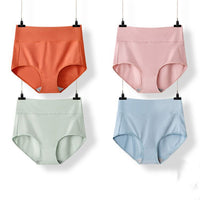 High Waist Briefs Plus Size Fat