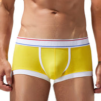Underwear Cotton Boxer Youth Low Waist Panties Men's Boxers