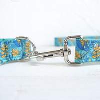 Dog collar pull rope leash