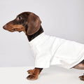 Cold-proof Handsome Pet Cat Dog Clothes
