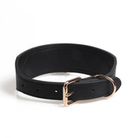 Fashion Simple Medium And Large Pet Dog Collar