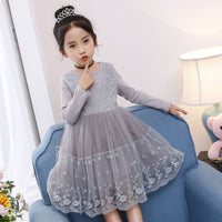 Girls Fashion Lace Embroidered Mesh Dress