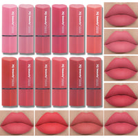 Fashion Student Party Multicolor Nude Lipstick