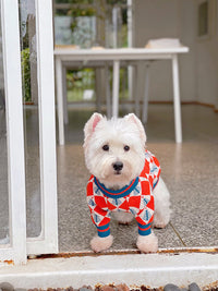 Pug Shiba Inu French Fighting Sweater Cat And Dog Winter Clothes