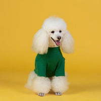 Puppy Clothes Autumn And Winter New Cotton
