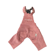 Autumn And Winter Pet Corduroy Overalls