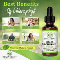Natural Body Odor Intestinal Care Liquid Chlorophyll Drops