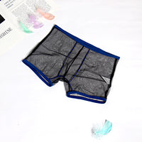Men's See Through Breathable Mesh Solid Color Boxers