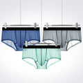 Ice Silk Seamless Boxers Boys Transparent Underpants