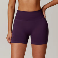 Seamless High Waist Yoga Shorts Skinny Hip Raise Exercise Workout Pants