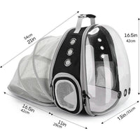Rear Expandable Transparent Mesh Pet Backpack
