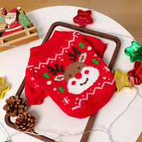 Fashion Personality Halloween Pet Clothes Dog Clothes