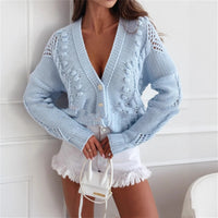 Long Sleeve Button Loose Hollow Women's Sweater