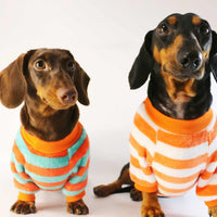 Dog Cat Pet Clothes Casual Sweatshirt