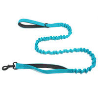 Dog Leash That Doesnt Choke The Handler For Large Dogs