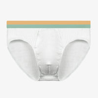 Men's Briefs Cotton Thin Antibacterial Shorts