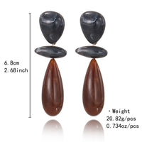 Oval Resin Long Earrings For Women