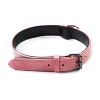Pet Microfiber Leather Engraved Adjustable Anti-lost Collar