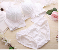 Lace Sexy Deep V Gather Underwear Without Steel Ring