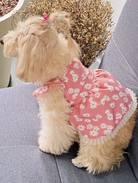 Pet Dress-Little Daisies-Light Green-XXL-Polyester-1 piece