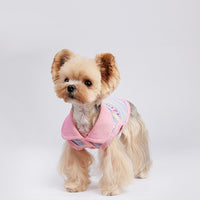 Small Dog Pet Cat Autumn Vest