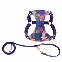 Dog Hand Holding Rope Vest Walking Dog