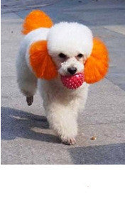 Personalized Dressing Up Dye For Dog Hair