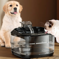 Smart Automatic Circulating Filtration Pet Water Fountain With A Large Capacity