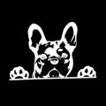 2PC Car Sticker Dog Pattern Sticker Animal Reflective Car Sticker Rear Window Glass Scratch Sticker