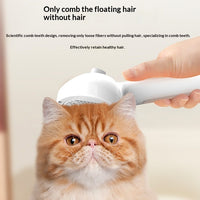Pet Spray Comb Pin Brush Cat Grooming Comb For Removing Fur And Detangling Knots