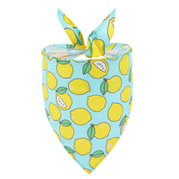 New Pet Triangle Summer Fruit Dog Saliva Towel