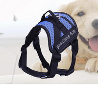 Adjustable dog traction chest and back