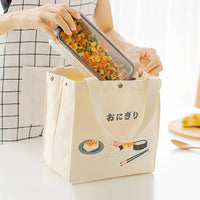 Cute Portable Ladies Handbag Insulation Lunch Box Bag