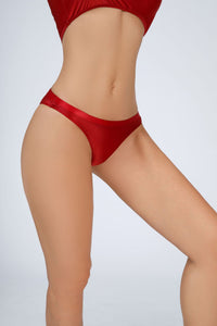 Silky Glossy Low-rise Panties With A Sheer Sexy Design