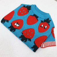 Canine Sweater Strawberry Cartoon Short Fat Dog