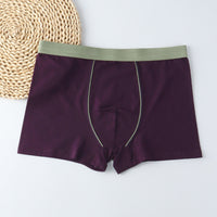 Men's Underwear Men's Boxer Briefs Plus Size Extra Large