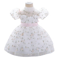 Children's Dress Princess Dress Embroidered Mesh Puffy One Year Old Celebration