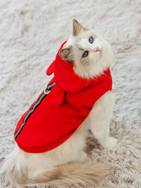 Autumn And Winter Anti-lint Muppet Blue Cat Silver Gradual Layer Pet British Shorthair Cat Clothes Thickened Vest