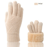 Double Layer Fleece-lined Thick Windproof Thermal Touch Screen Gloves
